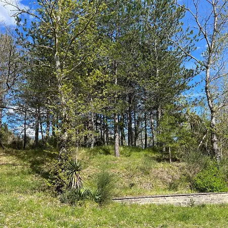 Cavaienti Umbria Agriturismo Nel Verde Βίλα Città di Castello