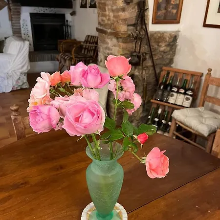 Cavaienti Umbria Agriturismo Nel Verde *