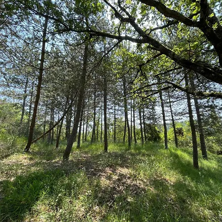 Βίλα Cavaienti Umbria Agriturismo Nel Verde