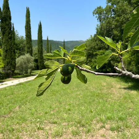 Cavaienti Umbria Agriturismo Nel Verde ヴィラ チッタ・ディ・カステッロ