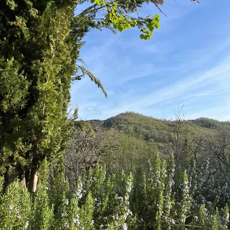 Cavaienti Umbria Agriturismo Nel Verde *